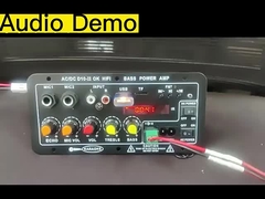 Amplifier Board D10-II untuk 4 Ohm 40W Speaker 110V 220V 12V 24V Subwoofer Audio Module