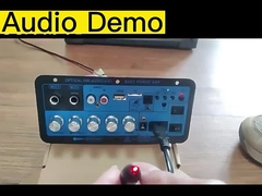 D60 50W Subwoofer Amplifier Board Bluetooth Audio Amplifier dengan Optical Audio 12V24V220V