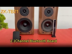 CA-TB21 Papan Audio Amplifier Subwoofer BT 2.1 Saluran 2*50W + 100W 12-24V AMP
