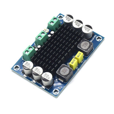 CA-3116D Original 100W Mono Audio Amplifier Board dengan TPA3116D2 Chip dan 12-24V Input