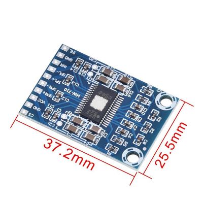 TPA3116D2 Modul Audio Amplifier Saluran Ganda Daya Output 50W 12V-24V DC Papan Amplifier Audio Digital