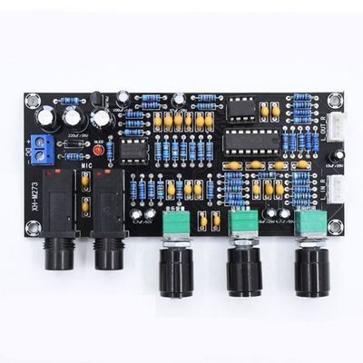 PT2399 NE5532 Papan Amplifier Mikrofon dengan Tegangan Kerja DC12-24V untuk Amplifikasi Audio Stereo