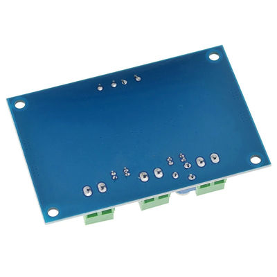 100W High Power Mono Audio Amplifier Board TPA3116D2 dengan 2 Saluran untuk Amplifier Rumah