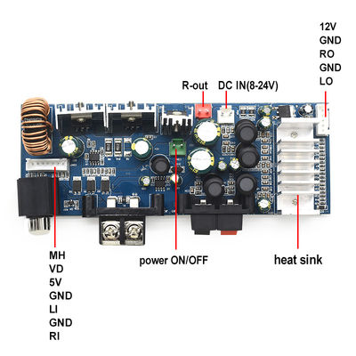 CA-3116AS Professional 2.0 Channel Digital Subwoofer Amplifier Board 2*100W 8-24V Mini TPA3116 untuk Suara Rumah