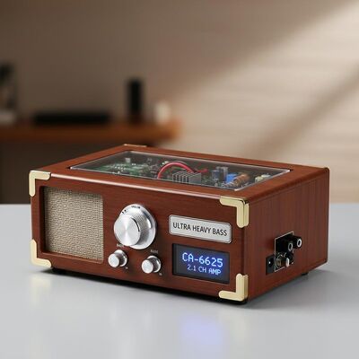 CA-6625 2.1 Channel Ultra Heavy Bass Digital Amplifier Board Module with 12V Power Supply for DIY Audio Projects